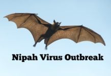 NIV confirms Ribavirin as a potential treatment for Nipah Virus NIV confirms Ribavirin as a potential treatment for Nipah Virus