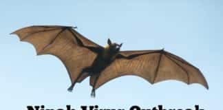 NIV confirms Ribavirin as a potential treatment for Nipah Virus