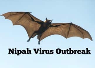 NIV confirms Ribavirin as a potential treatment for Nipah Virus NIV confirms Ribavirin as a potential treatment for Nipah Virus