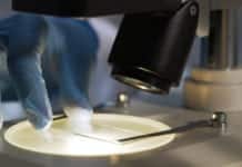 New Tech Allows Scientists to Capture 10,000 Genes at Once New Tech Allows Scientists to Capture 10,000 Genes at Once