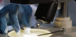 New Tech Allows Scientists to Capture 10,000 Genes at Once
