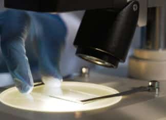 New Tech Allows Scientists to Capture 10,000 Genes at Once New Tech Allows Scientists to Capture 10,000 Genes at Once