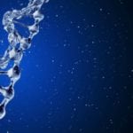 Biotechnology Research Associate Post Vacant @ Anna University