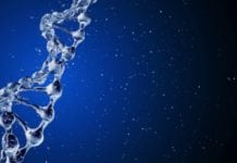 Biotechnology Research Associate Post Vacant @ Anna University