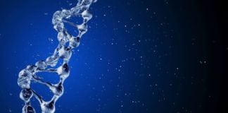 Biotechnology Research Associate Post Vacant @ Anna University