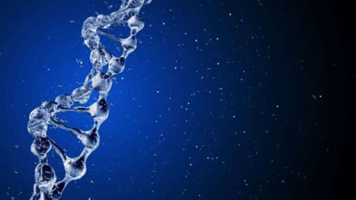 Biotechnology Research Associate Post Vacant @ Anna University