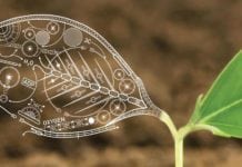 You Won’t Believe How the Future of Biology & DNA Editing Looks Like! You Won't Believe How the Future of Biology & DNA Editing Looks Like!