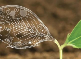 You Won’t Believe How the Future of Biology & DNA Editing Looks Like! You Won't Believe How the Future of Biology & DNA Editing Looks Like!
