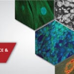 International Conference on Advances in Materials Science & Applied Biology (AMSAB) @ SVKM’s NMIMS (Deemed-to-be University), Mumbai International Conference on AMSAB @ NMIMS, Mumbai