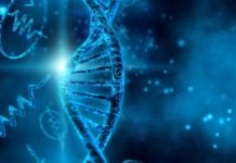 Biology Project Scientist Posts Vacant @ IIT Delhi Biology Project Scientist Posts Vacant @ IIT Delhi