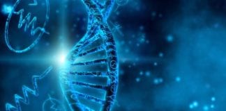 Biology Project Scientist Posts Vacant @ IIT Delhi