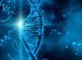 Biology Project Scientist Posts Vacant @ IIT Delhi Biology Project Scientist Posts Vacant @ IIT Delhi