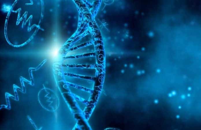 Biology Project Scientist Posts Vacant @ IIT Delhi