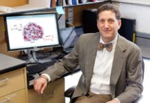 Functionality Of Antiviral Gene RSAD2 Discovered