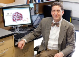 Functionality Of Antiviral Gene RSAD2 Discovered Functionality Of Antiviral Gene RSAD2 Discovered