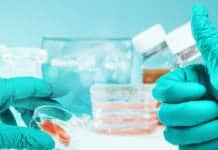 Biological Sciences Research Fellow & Technical Assistant Post @ JNU, New Delhi MSc Life Sciences & Biotech Project Fellow Post @ Kuvempu University