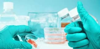 MSc Life Sciences & Biotech Project Fellow Post @ Kuvempu University