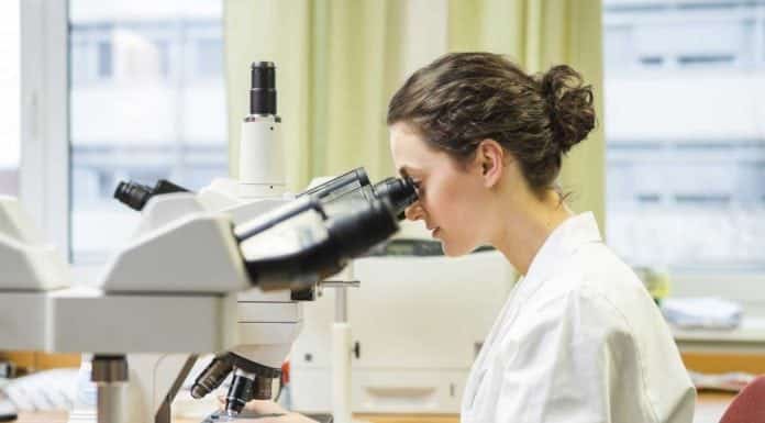 MSc Junior Research Fellow Position Vacant @ AIIMS Bhopal