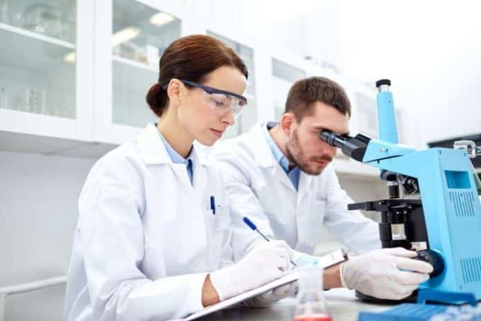 Novozymes R&D Latest Jobs 2019