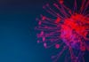 Researchers Reprogram T Cells to Fight Cancer & Other Diseases Researchers Reprogram T Cells to Fight Cancer & Other Diseases