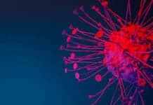 Researchers Reprogram T Cells to Fight Cancer & Other Diseases Researchers Reprogram T Cells to Fight Cancer & Other Diseases