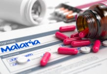 Noble Prize Winning Artificial Intelligence to Map Malaria-Human Contact Biological Sciences Research Associate