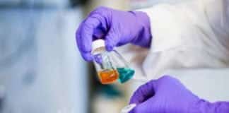 MSc & MTech Biological Sciences JRF Post @ IIT Gandhinagar