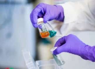 MSc & MTech Biological Sciences JRF Post @ IIT Gandhinagar MSc & MTech Biological Sciences JRF Post @ IIT Gandhinagar