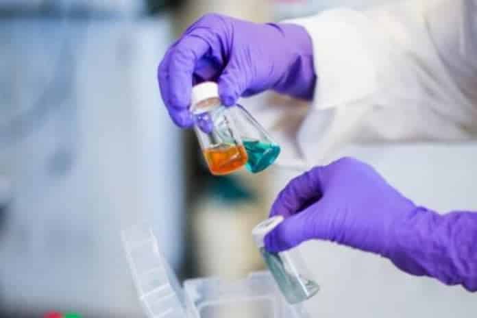 MSc & MTech Biological Sciences JRF Post @ IIT Gandhinagar
