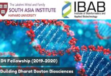 Call for Applications for B4 Fellowship (2019-2020) Call for Applications for B4 Fellowship (2019-2020)