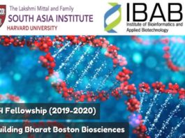 Call for Applications for B4 Fellowship (2019-2020)