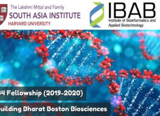 Call for Applications for B4 Fellowship (2019-2020) Call for Applications for B4 Fellowship (2019-2020)