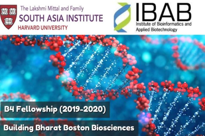 Call for Applications for B4 Fellowship (2019-2020)