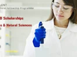 TALENT Doctoral Fellowship Programme