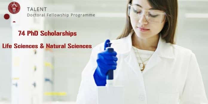 TALENT Doctoral Fellowship Programme