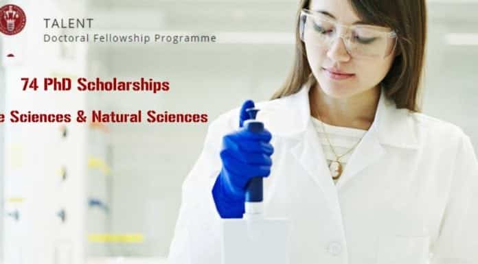 TALENT Doctoral Fellowship Programme