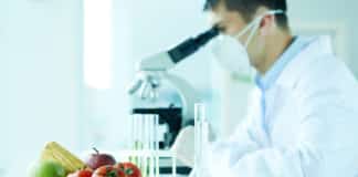 MSc & MTech Food Technology Research Fellow Post @ PAU