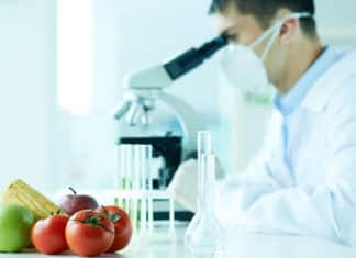 MSc & MTech Food Technology Research Fellow Post @ PAU MSc & MTech Food Technology Research Fellow Post @ PAU