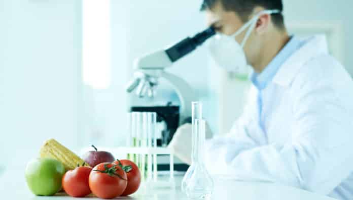 MSc & MTech Food Technology Research Fellow Post @ PAU