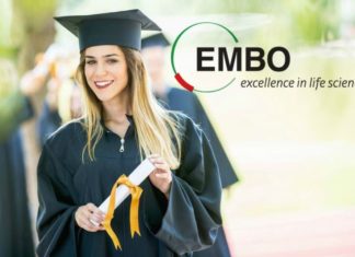 EMBO Short-Term Fellowships – Official Notification EMBO Short-Term Fellowships
