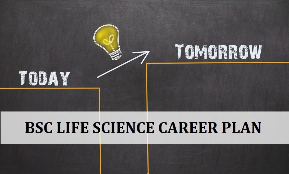 Bsc Life Science Career Plan, 10 Things<!-- This site is converting visitors into subscribers and customers with OptinMonster - https://optinmonster.com :: Campaign Title: Inline Subscribers --></noscript>
<div id=