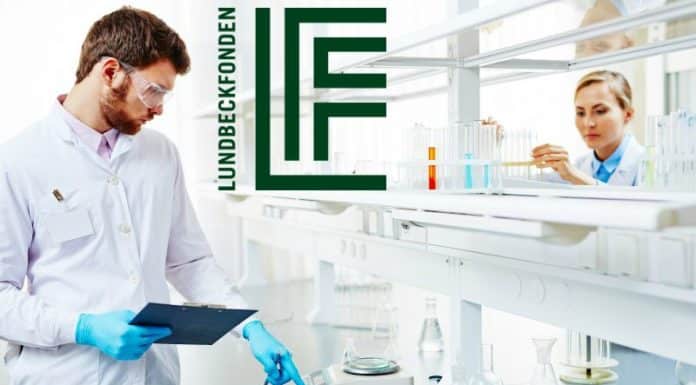 Lundbeck Foundation Fellowships