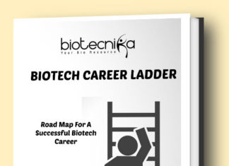 Biotech Career Ladder eBook