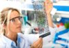CSIR Exclusively Hiring Life Science Research Interns CSIR Exclusively Hiring Life Science Research Interns