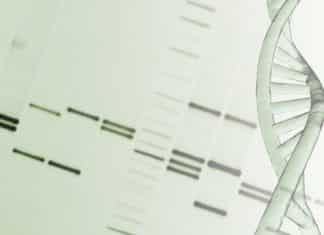Buy Chemiluminescent HRP Substrates Online For Lab Research