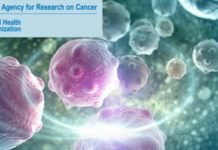 IARC Fellowships for Cancer Research - Postdoc Fellowships
