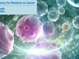 IARC Fellowships for Cancer Research - Postdoc Fellowships
