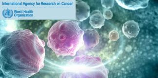 IARC Fellowships for Cancer Research - Postdoc Fellowships