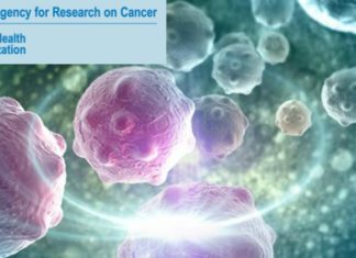 WHO Fellowship in Cancer Research IARC Fellowships for Cancer Research - Postdoc Fellowships