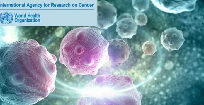 IARC Fellowships for Cancer Research - Postdoc Fellowships